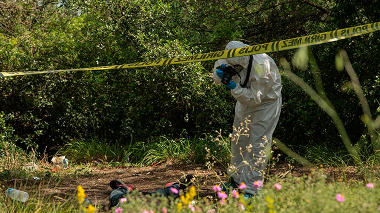 Zonguldak'ta ormanda gömülü 2 erkek cesedi bulundu