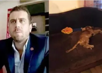Köpeğe tecavüz ederek öldürmüştü! Hakkında karar verildi