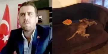 Köpeğe tecavüz ederek öldürmüştü! Hakkında karar verildi