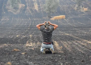 Yanan tarlalarını görünce böyle üzüldü…