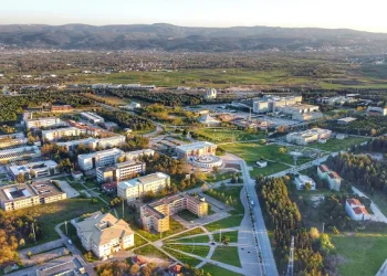 YKS sonuçları açıklandı