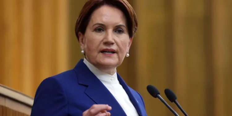 “Amasız, fakatsız, ancaksız, lakinsiz özür diliyorum”
