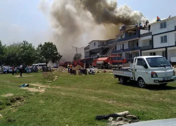Karacabey Longozu yakınında çıkan yangın panik yarattı