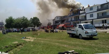 Karacabey Longozu yakınında çıkan yangın panik yarattı