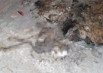 Bursa’da kan donduran olay! Gözlerini oyup yaktılar