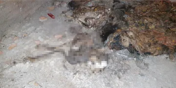 Bursa’da kan donduran olay! Gözlerini oyup yaktılar