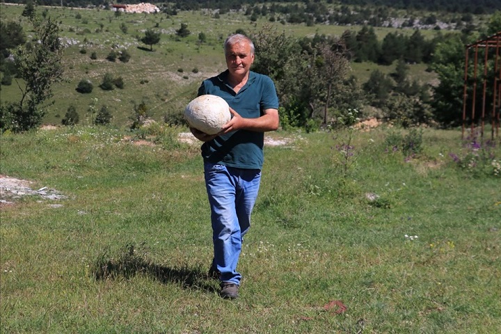 Futbol topu sandı, 5 kiloluk mantar çıktı
