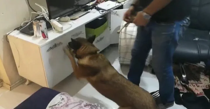 Bursa’da narkotik köpeği ‘Fırtına’ ile uyuşturucu operasyonu
