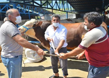 Yıldırım İsabey’de sosyal mesafeli kurban pazarı