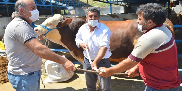 Yıldırım İsabey’de sosyal mesafeli kurban pazarı