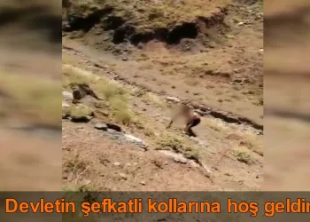PKK’dan kaçan terörist böyle teslim oldu