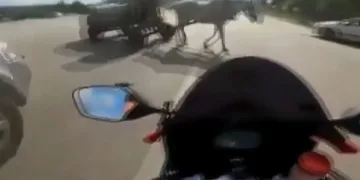 Emniyet şeridinde ilerleyen motosiklet at arabasına böyle çarptı