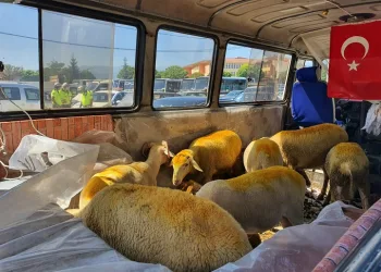 Trafikten men edilen araçla kurban satmaya kalkıştı