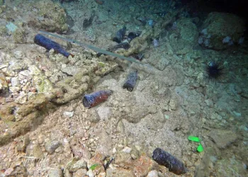 Kaş Limanı’nda ‘utandıran fotoğraflar’