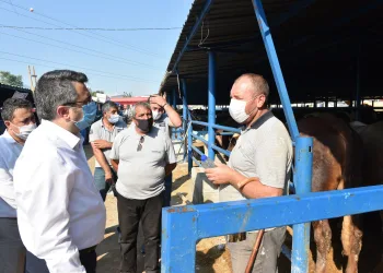 Yıldırım, kurban bayramına hazır