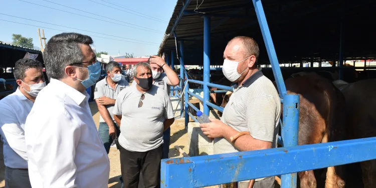 Yıldırım, kurban bayramına hazır