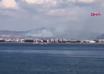 Çanakkale’de orman yangını!