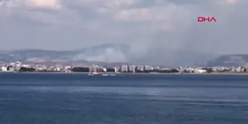 Çanakkale’de orman yangını!