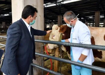Osmangazi Kurban Pazarında 110 Milyonluk satış