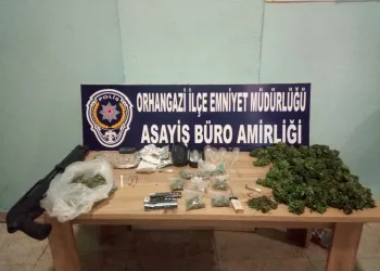 Bursa’da 283 kök hint keneviri ele geçirildi