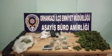 Bursa’da 283 kök hint keneviri ele geçirildi