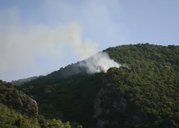 Bursa’da bağ evinden ormana sıçrayan yangın söndürüldü