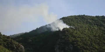 Bursa’da bağ evinden ormana sıçrayan yangın söndürüldü