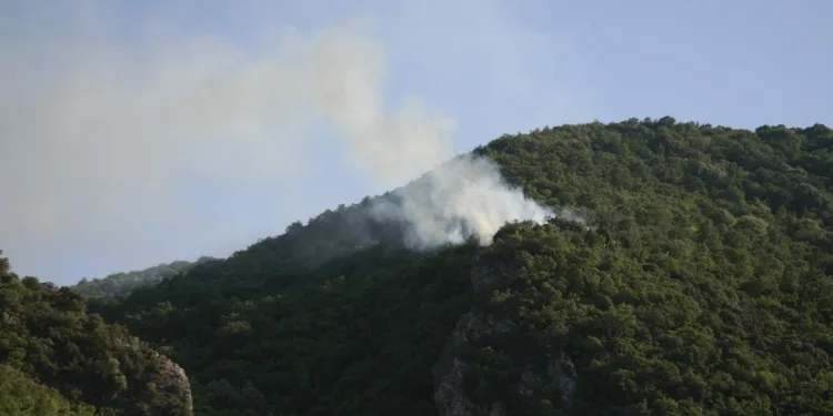 Bursa’da bağ evinden ormana sıçrayan yangın söndürüldü