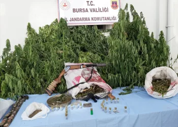 Bursa’da çok sayıda uyuşturucu madde ele geçirildi