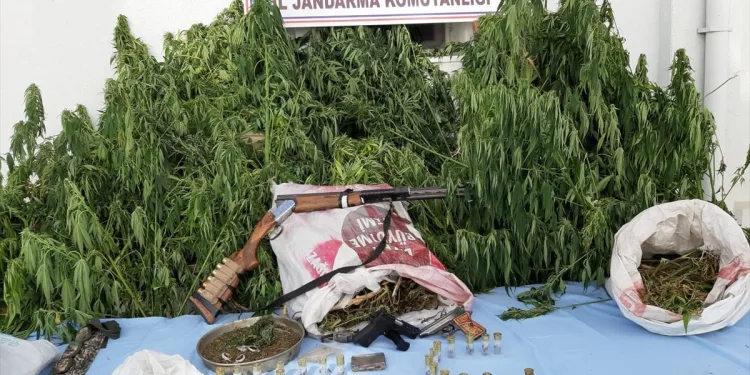 Bursa’da çok sayıda uyuşturucu madde ele geçirildi