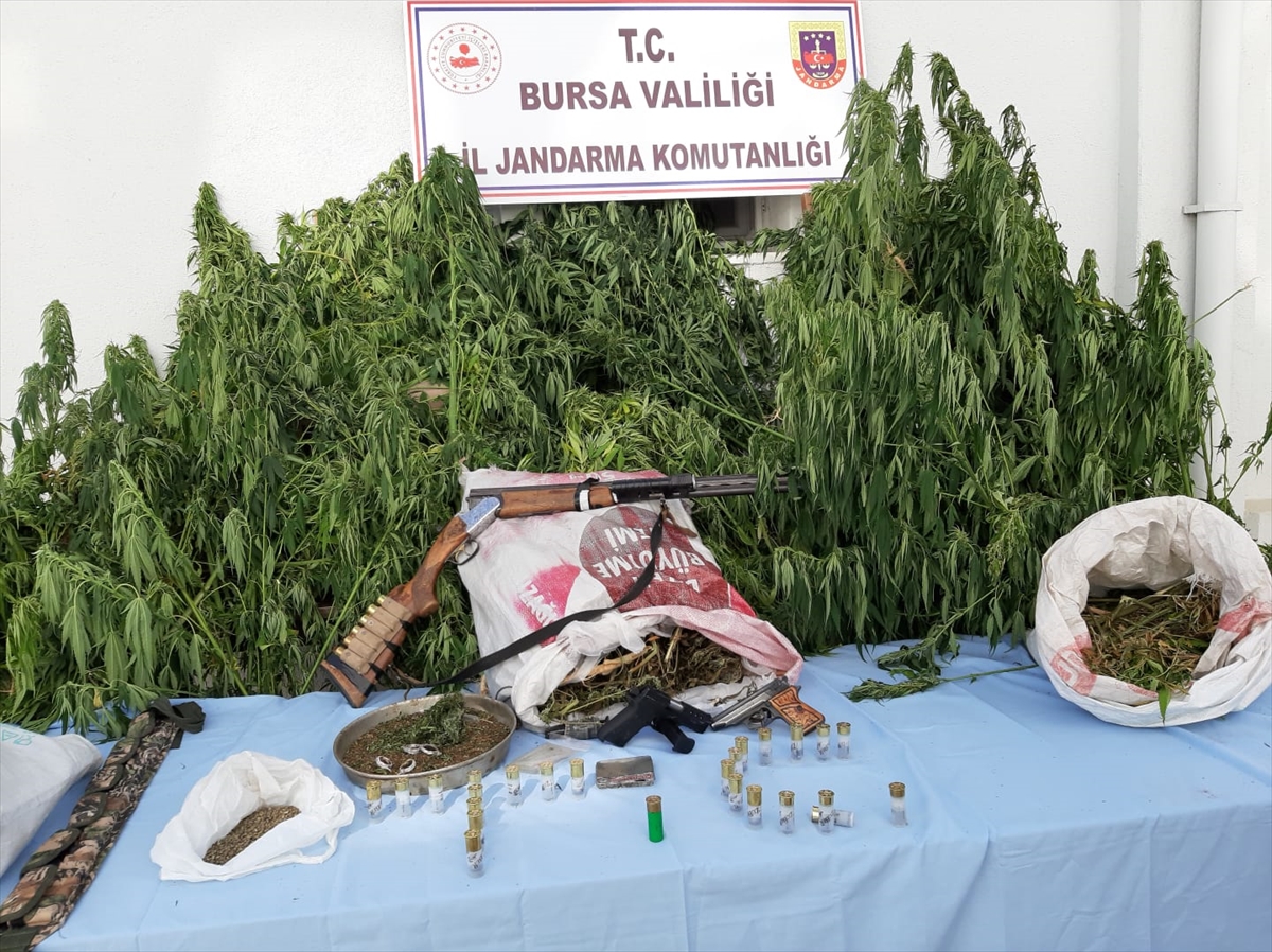 Bursa'da çok sayıda uyuşturucu madde ele geçirildi