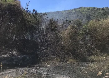 Bursa’da Uludağ’ın eteklerinde yangın