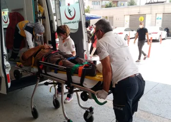 Kesim yaparken üzerine tomruk devrildi