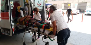 Kesim yaparken üzerine tomruk devrildi
