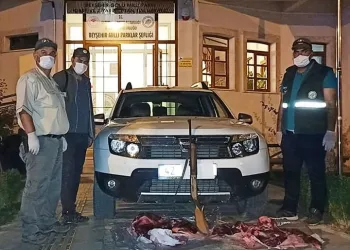 Yaban keçisi avına 62 bin TL ceza