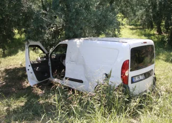 Bursa’da lastiği patlayan araç zeytin ağacına çarptı