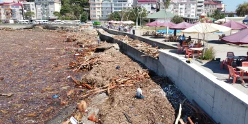 Giresun Sahili sel sonrası odun parçaları ile doldu