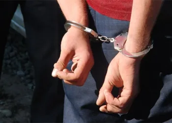 Bursa’da 2 hırsızlık zanlısı tutuklandı