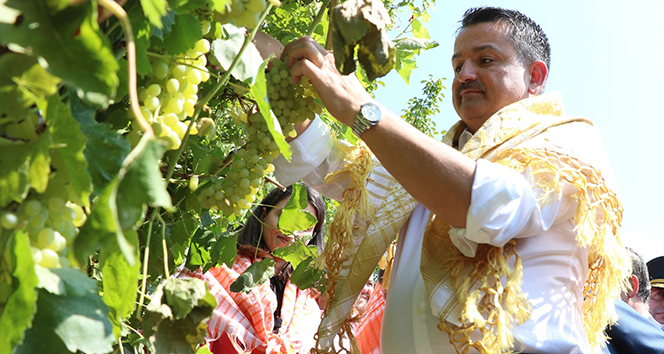 Bakan Pakdemirli çiftçinin merakla beklediği üzüm alım fiyatını açıkladı