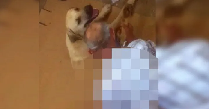 İğrenç olay! Ayaklarını bağladığı köpeğe tecavüz etti