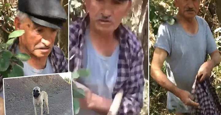 75 yaşındaki adam, köpeğe tecavüz ederken yakalandı