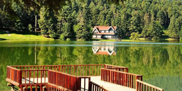 Karantinada olması gereken 2 kişi tabiat parkında yakalandı
