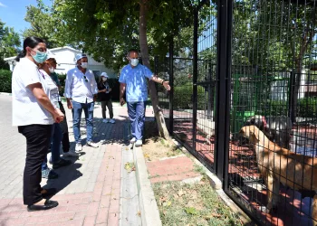 Avrupa’nın en modern barınağı Türkiye’ye örnek oluyor