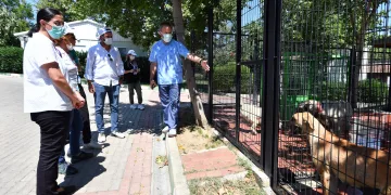 Avrupa’nın en modern barınağı Türkiye’ye örnek oluyor