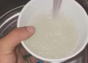 Kurban atıkları dereye atıldı, içme suyu bu hale geldi