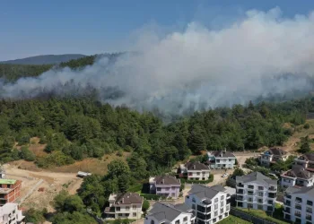 Bursa’daki orman yangınında 1 kişi gözaltına alındı