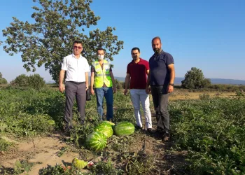 Mustafakemalpaşalı çiftçinin yüzü yeni gelir kaynaklarıyla gülecek