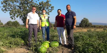 Mustafakemalpaşalı çiftçinin yüzü yeni gelir kaynaklarıyla gülecek
