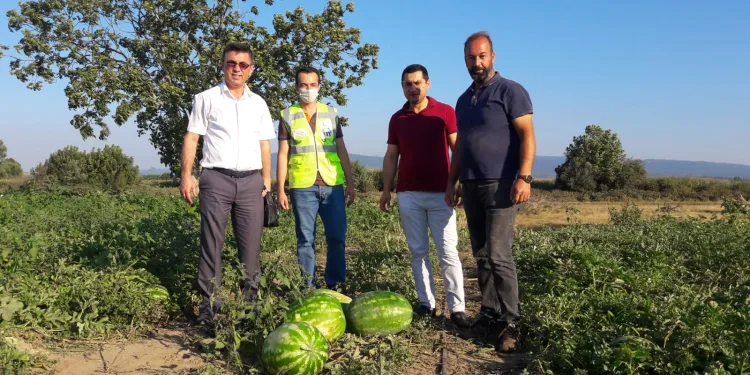 Mustafakemalpaşalı çiftçinin yüzü yeni gelir kaynaklarıyla gülecek