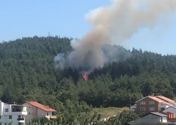 Bursa Nilüfer’de orman yangını!